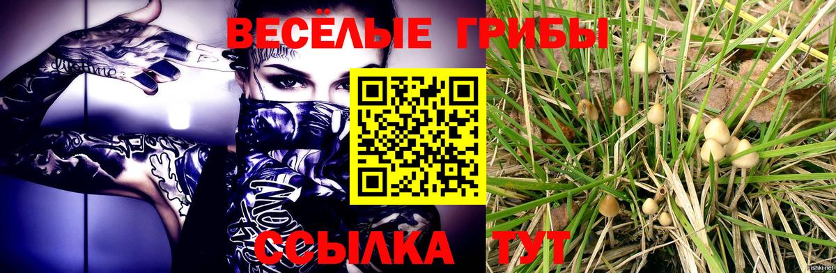 Псилоцибиновые грибы Cubensis  Вход с VPN  Псилоцибиновые грибы мицелий  Нефтеюганск 