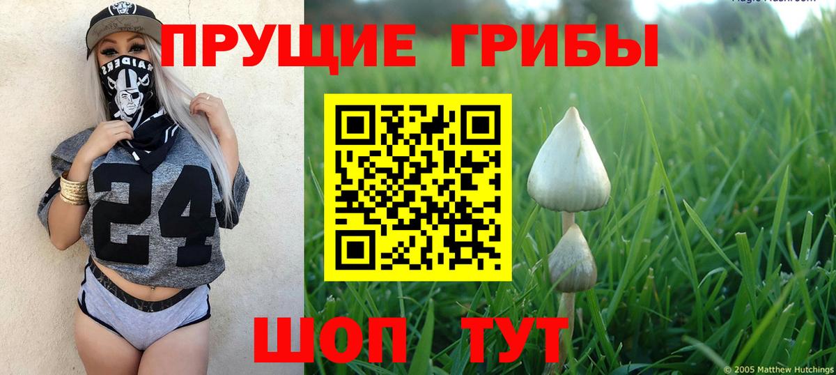 Галлюциногенные грибы Magic Shrooms Нефтеюганск
