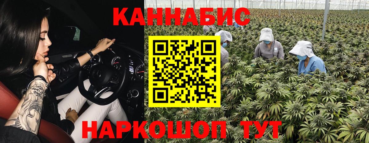 Канабис планчик  Шишки марихуана сатива  Нефтеюганск  Вход с VPN  МАРИХУАНА сатива 